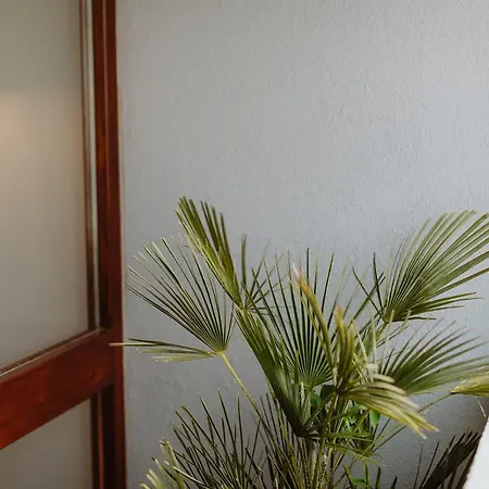 The Modernist, Architecture Experience *