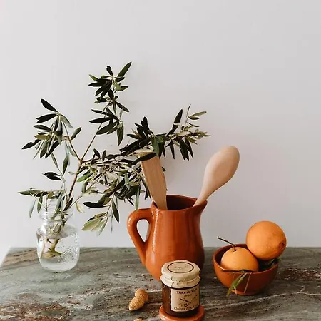 Daire The Modernist, Architecture Experience Faro