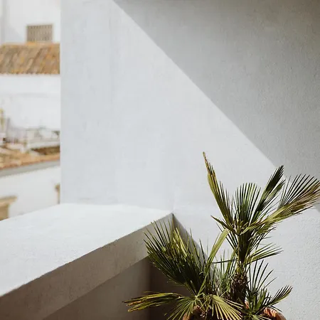 The Modernist, Architecture Experience Daire Faro