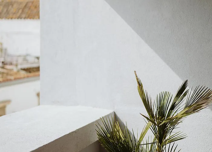 The Modernist, Architecture Experience Appartement District de Faro